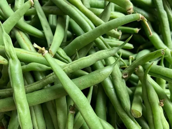 Haricots verts